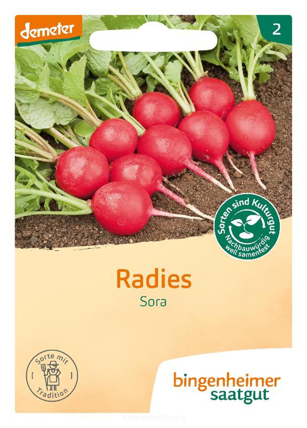 Produktfoto zu Saat: Radieserl  Sora