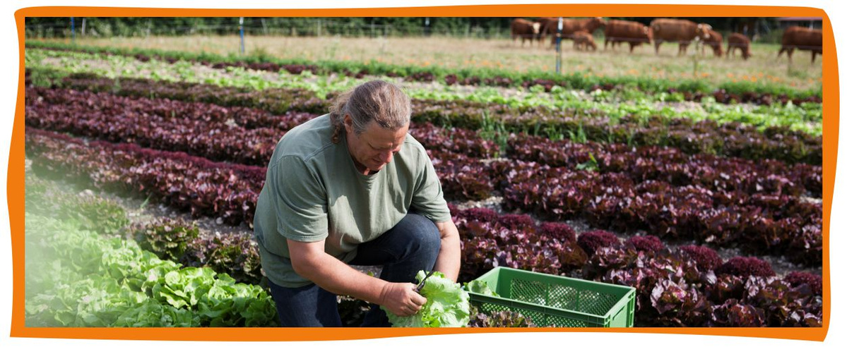Landwirtschaft am Amperhof