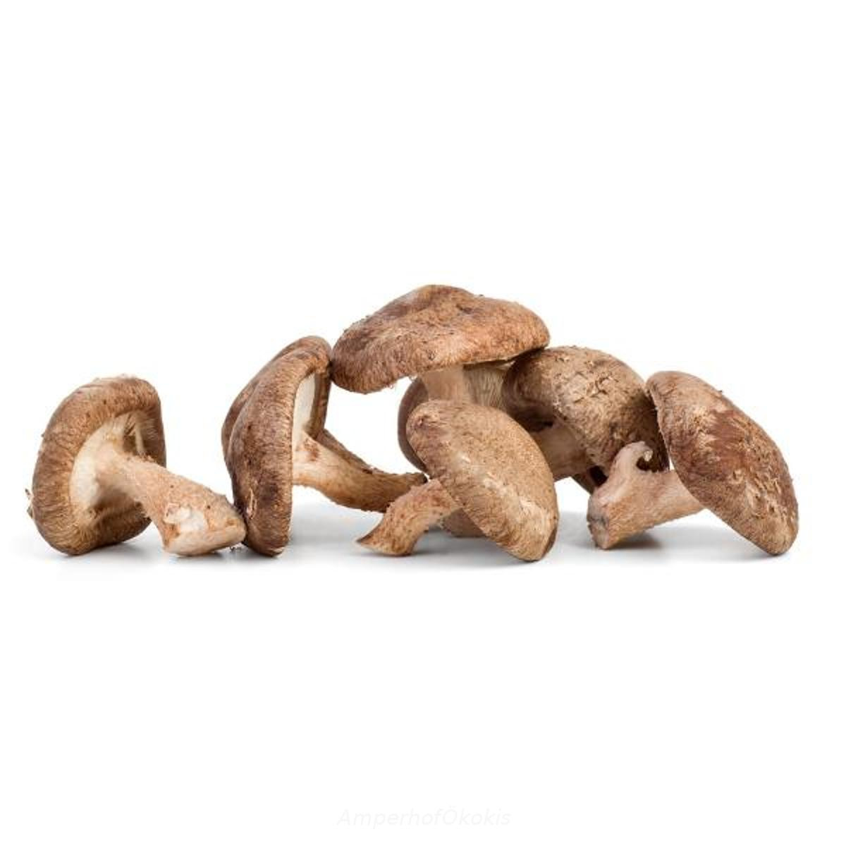 Shiitake-Pilze ca. 200g