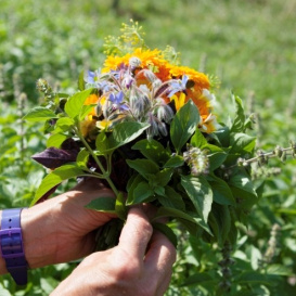 KI generiert: Hände halten einen bunten Blumenstrauß auf einem grünen Feld.