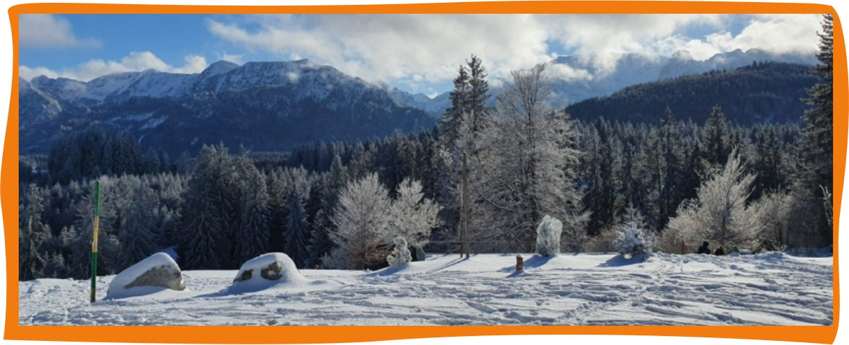 Kundenbrief als PDF öffnen