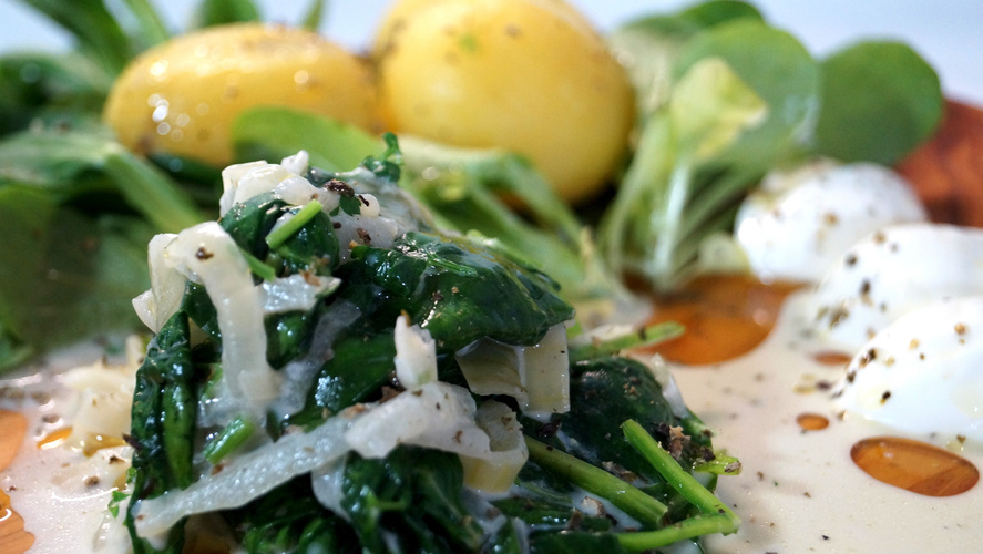 Rezeptbild für Kräuter-Sahnesößchen mit Spinat und Quark-Kartoffeln auf Feldsalatbett