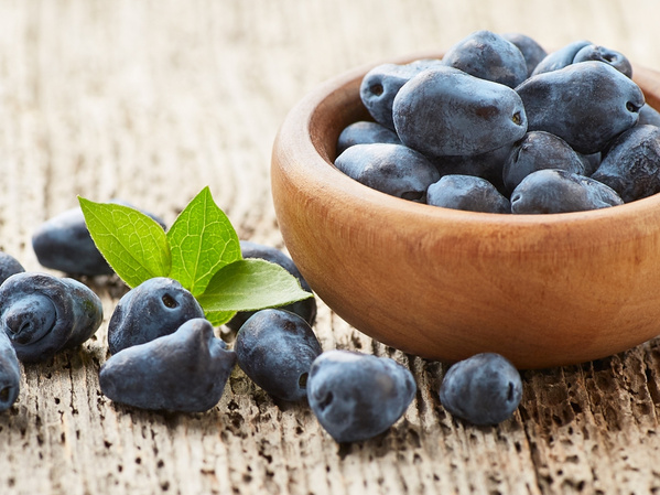 Haskap-Beeren ca, 150g Schale