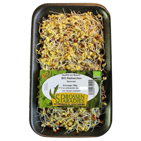 Produktfoto zu Radieschen Sprossen 100g