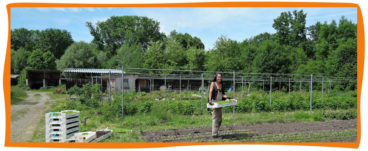 Regionale Erzeuger & Lieferanten