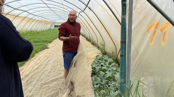 Neben dem Agretti wächst der Brokkoli von Johannes Rutz.