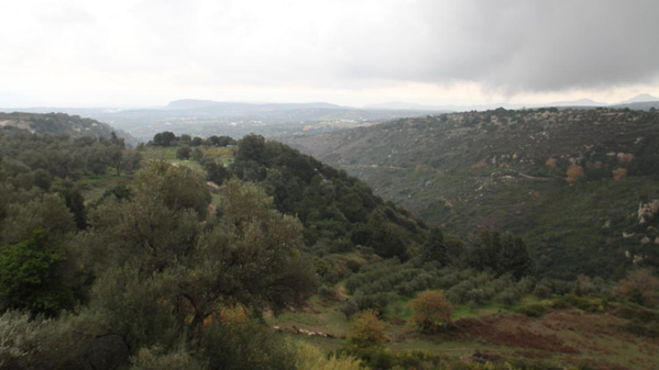 Adele liegt im Distrikt Rethymno auf Kreta. Die Kooperative von mehr als 20 kleinen Olivenbauern betreibt eine eigene, moderne Ölmühle.