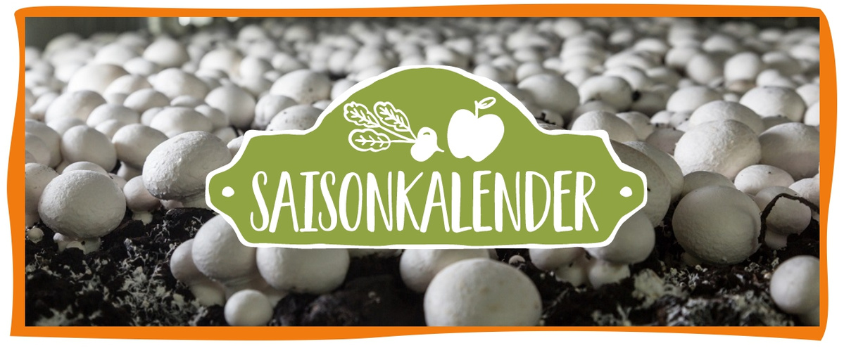 Saisonkalender Februar Header