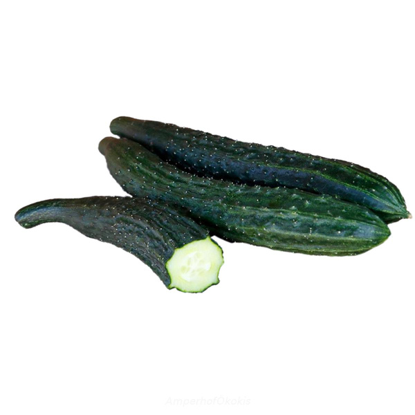 Produktfoto zu Saiko Schlangengurke
