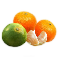 Satsumas, Mandarinen