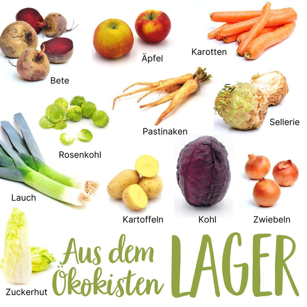 Saisonkalender Februar Lager
