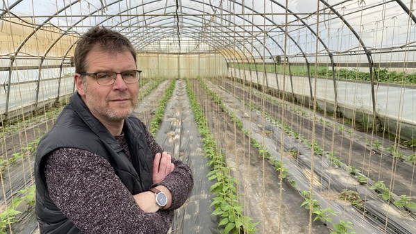 Unser Einkäufer für Obst & Gemüse Michel im Gewächshaus für Paprikapflanzen.