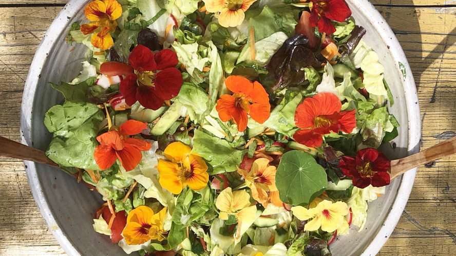 ein bunter Sommersalat