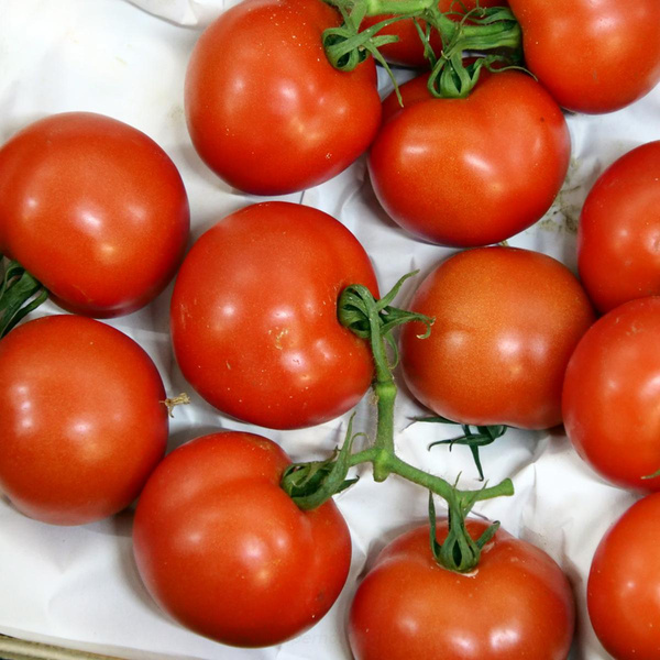 Produktfoto zu Strauchtomaten 5 kg Kiste
