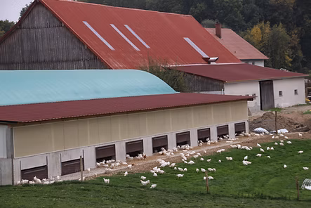 Hühnerstall mit viel Auslauf und Freigelände