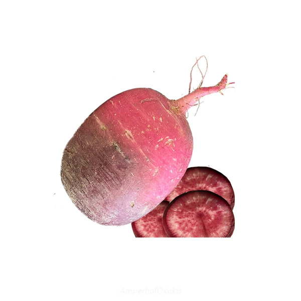 Produktfoto zu Rettich rosa