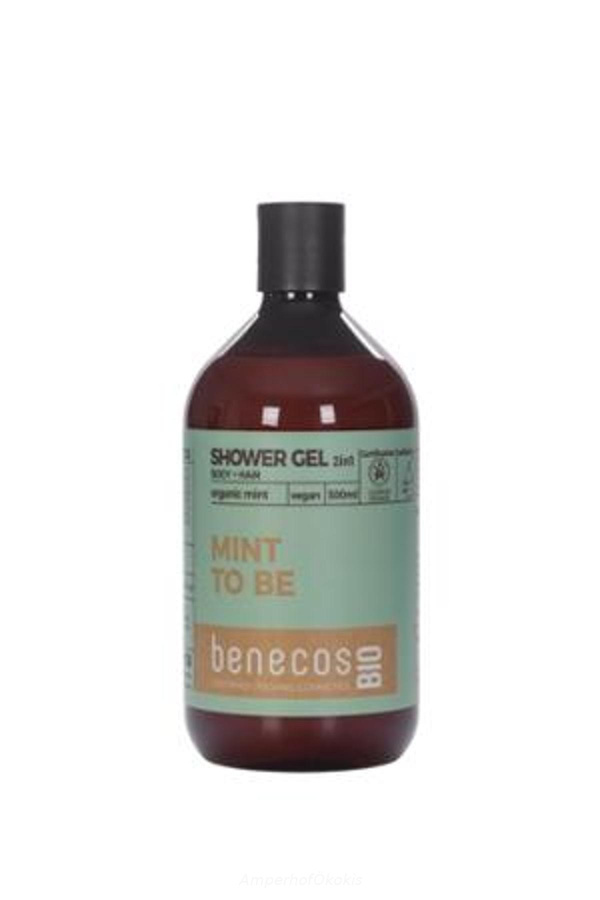 Produktfoto zu Duschgel 2in1 Minze 500 ml