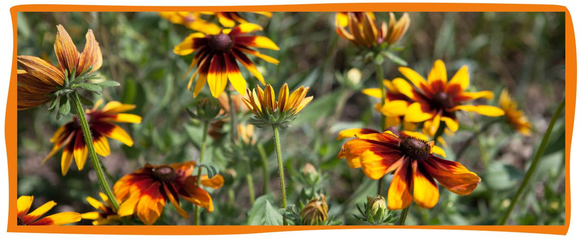 Datenschutzerklärung