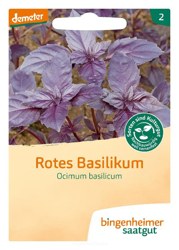 Produktfoto zu Saat: Basilikum rot