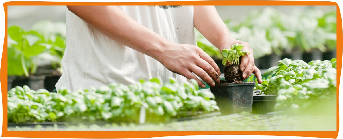 Kundenbrief KW 09/26