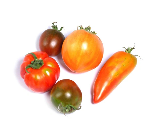 Fleischtomaten Mix
