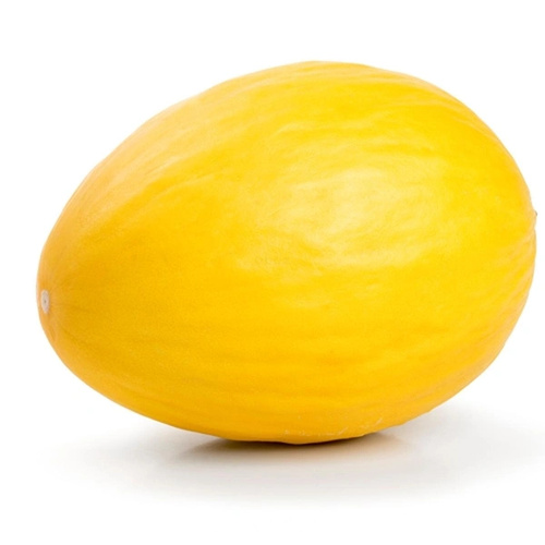 Canari Melone