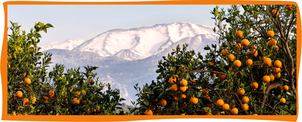 Kundenbrief KW 04/26