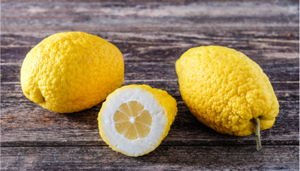 Cedro-Zitronatzitrone