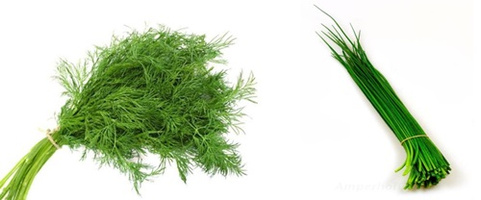 Dill&Schnittlauch
