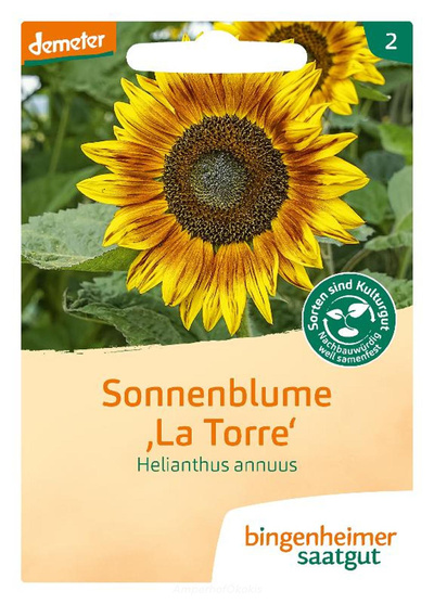 product photo for Saat: Sonnenblume