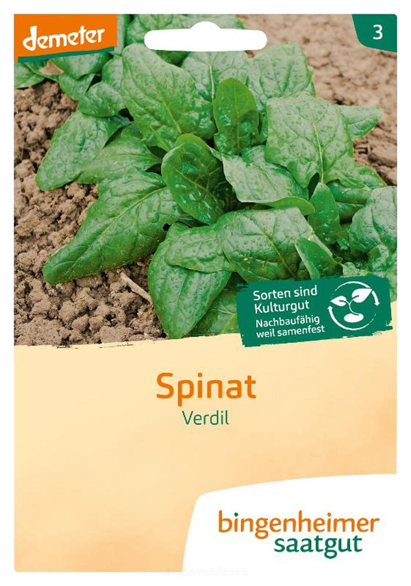 Produktfoto zu Saat: Spinat Verdil