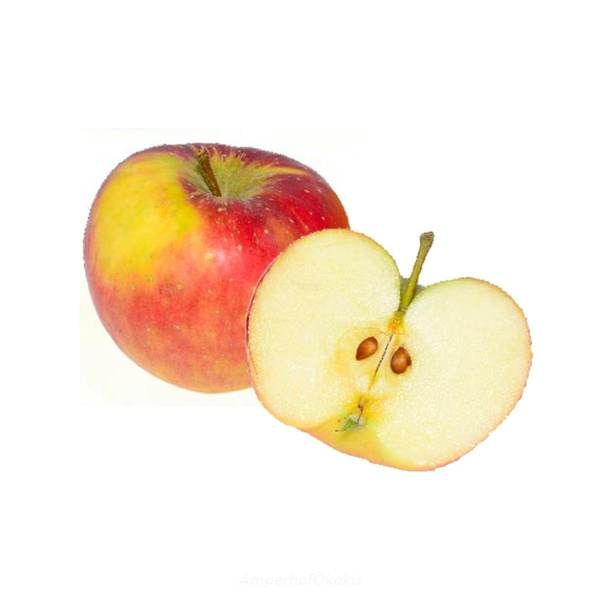 Produktfoto zu Äpfel Rubelit