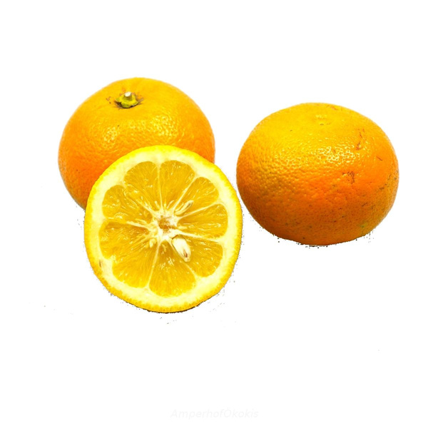 Produktfoto zu Bitterorangen