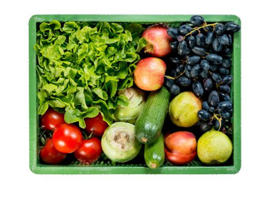 Mutter-Kind-Kiste: Gemüse, Salat und Obst ohne Blähendes und Treibendes:Wir packen z.B. Fenchel, Kürbis, Broccoli und Blumenkohl, aber keine weiteren Kohlsorten, keinen Lauch, keine Zwiebel , keine Zitrusfrüchte.