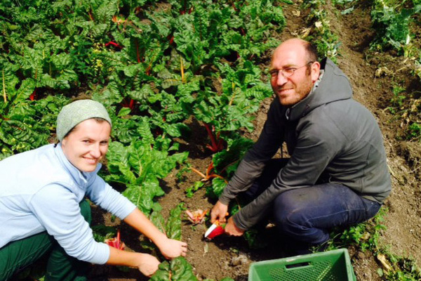 Johannes Rutz und seine langjährige Mitarbeiterin Elli beim Mangold ernten