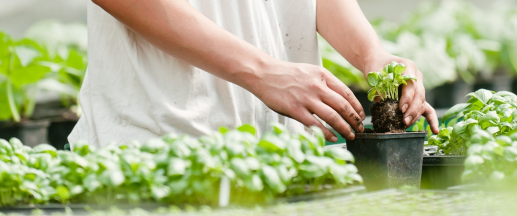 Kundenbrief KW 09/26