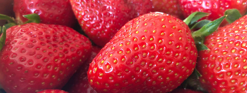 Erdbeeren