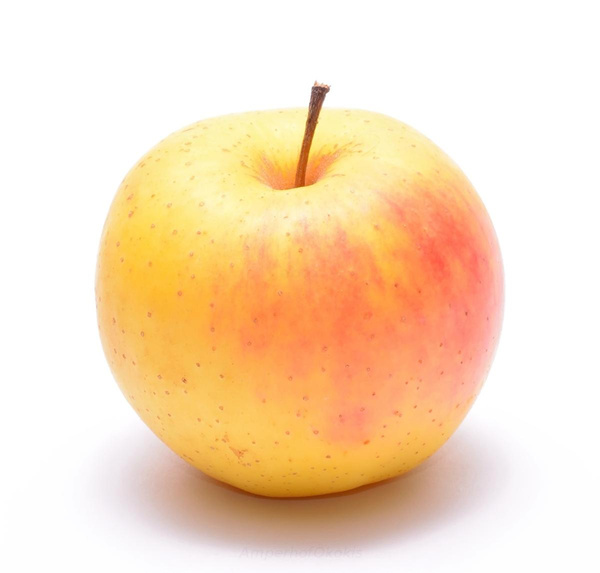 Produktfoto zu Apfel Wachsrenette