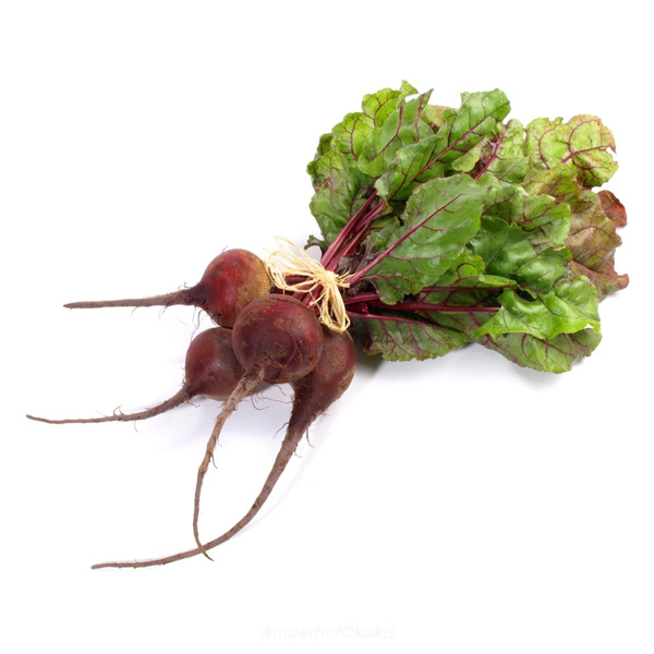 Produktfoto zu Rote Bete Bund