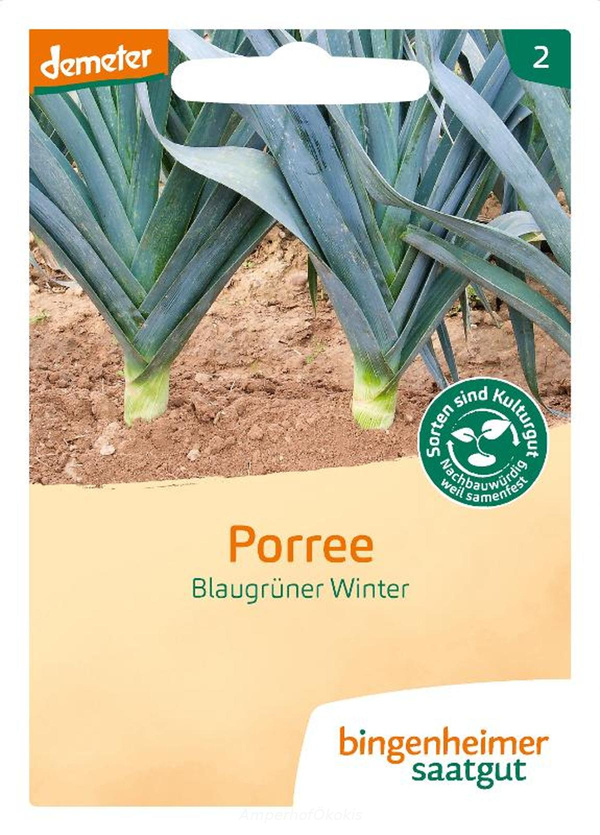 Produktfoto zu Saat: Avano Porree