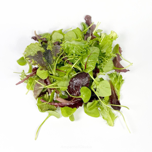 Produktfoto zu Babyleaf Spezialitäten 150g