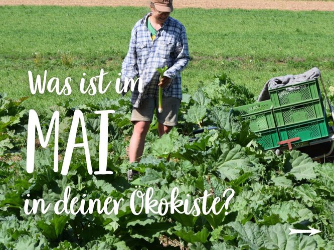 Saisonkalender Mai Teaser