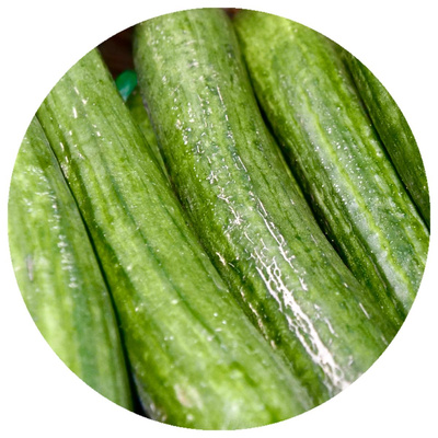 Produktfoto zu Schlangengurken Kiste 12 Stück