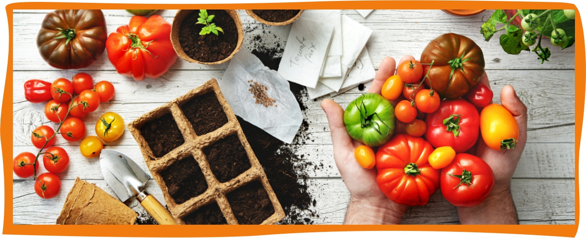 Kundenbrief als PDF öffnen