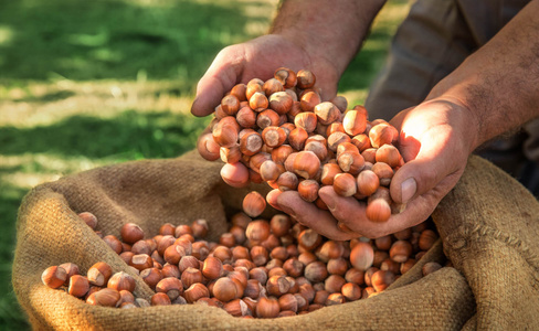 Für Liebhaber der Haselnuss