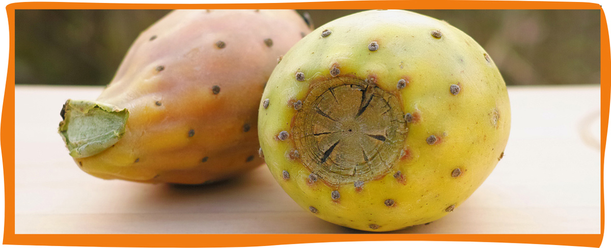 KI generiert: Zwei Kaktusfeigen liegen nebeneinander auf einer Holzoberfläche.