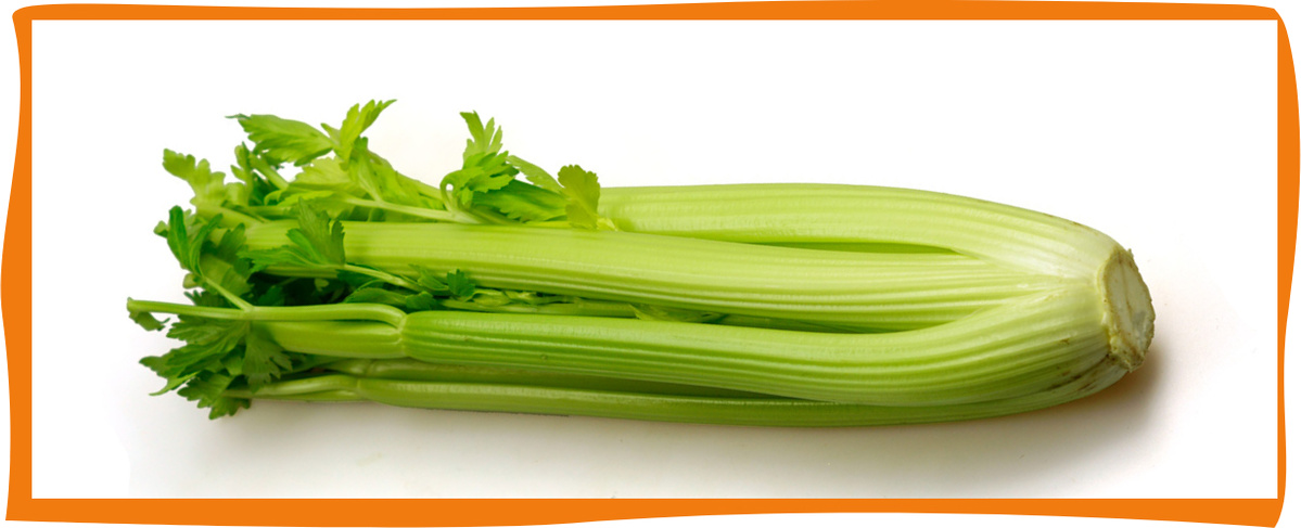 KI generiert: Ein Bund Sellerie auf weißem Hintergrund mit oranger Rahmen.