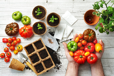 Alles für den GARTEN