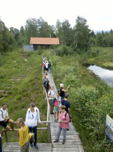 Moorbesichtigung im Juli 2022