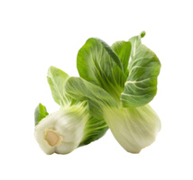 Bok Choi